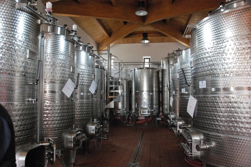 Agriturismo Sant' Antonio マンチャーノ エクステリア 写真