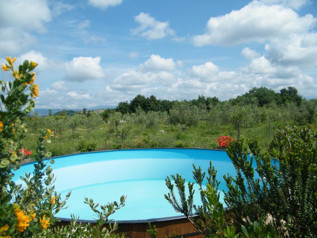Agriturismo Sant' Antonio マンチャーノ エクステリア 写真